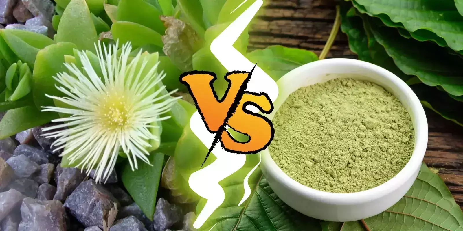 Kanna Vs Kratom: Key Differences & Benefits